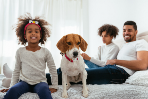 animal friends main case study page 
